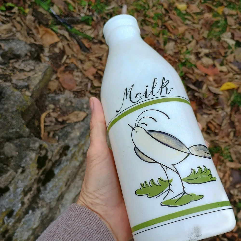 VTG Eqizia white glass quart size milk bottle, bird decor, whimsical decor